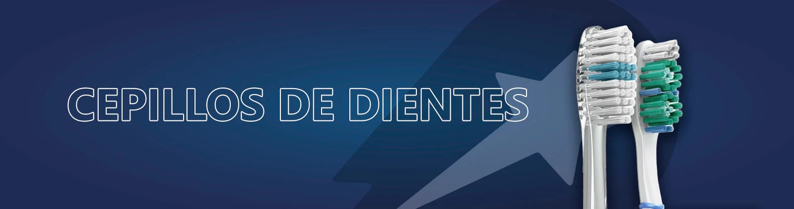 Cepillo de Dientes