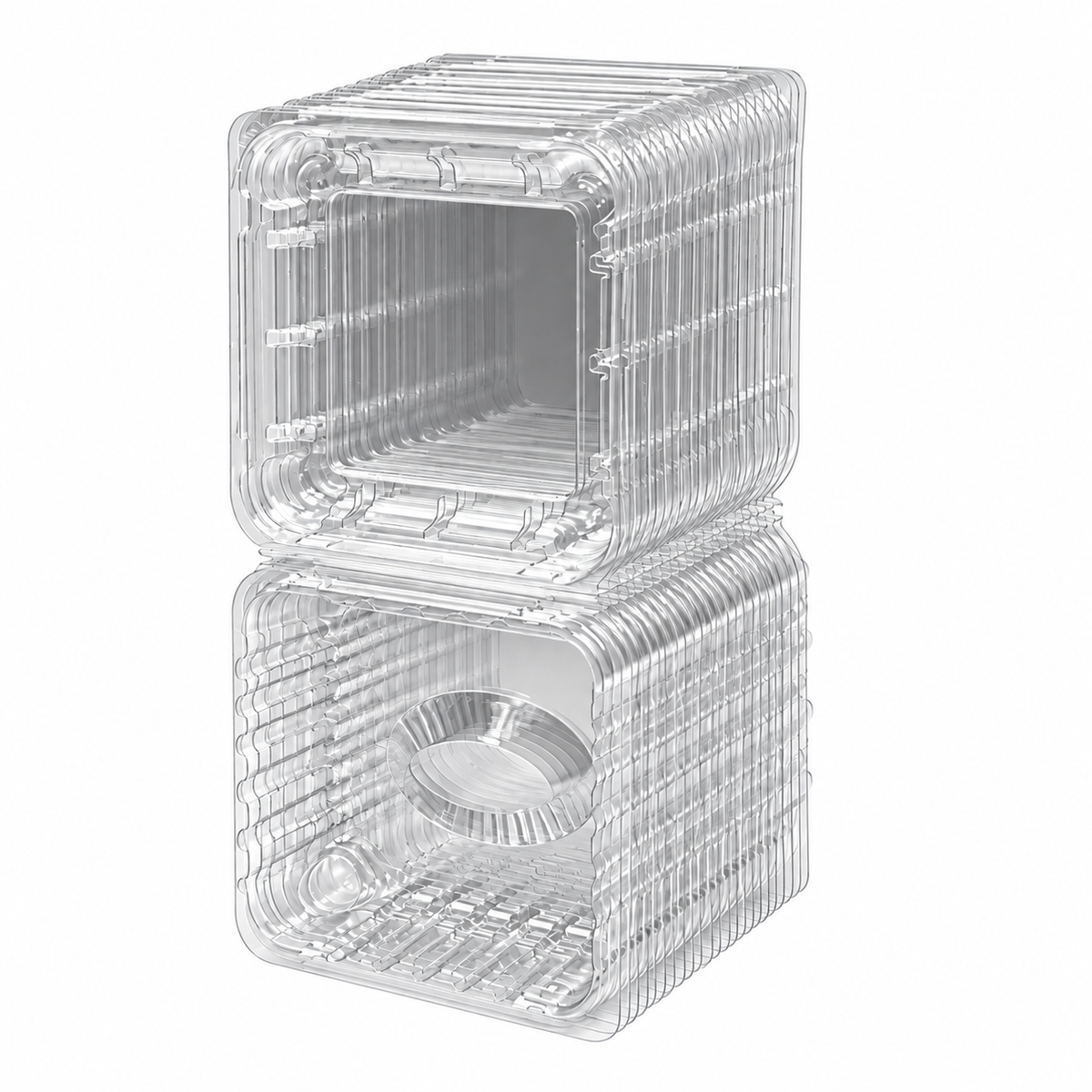 Envase Clamshell Arándanos 125 H-40 Paquete 25 und