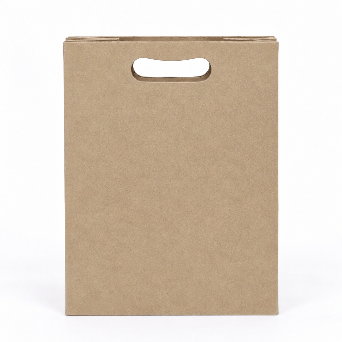 Bolsa De Papel Kraft Bk- #19 Con Asa