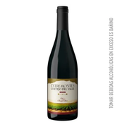 Vino Tinto Entremontes Cortejo Del Valle 750ml
