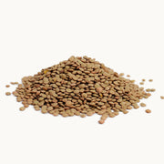 Lenteja Bebe Marron Granel